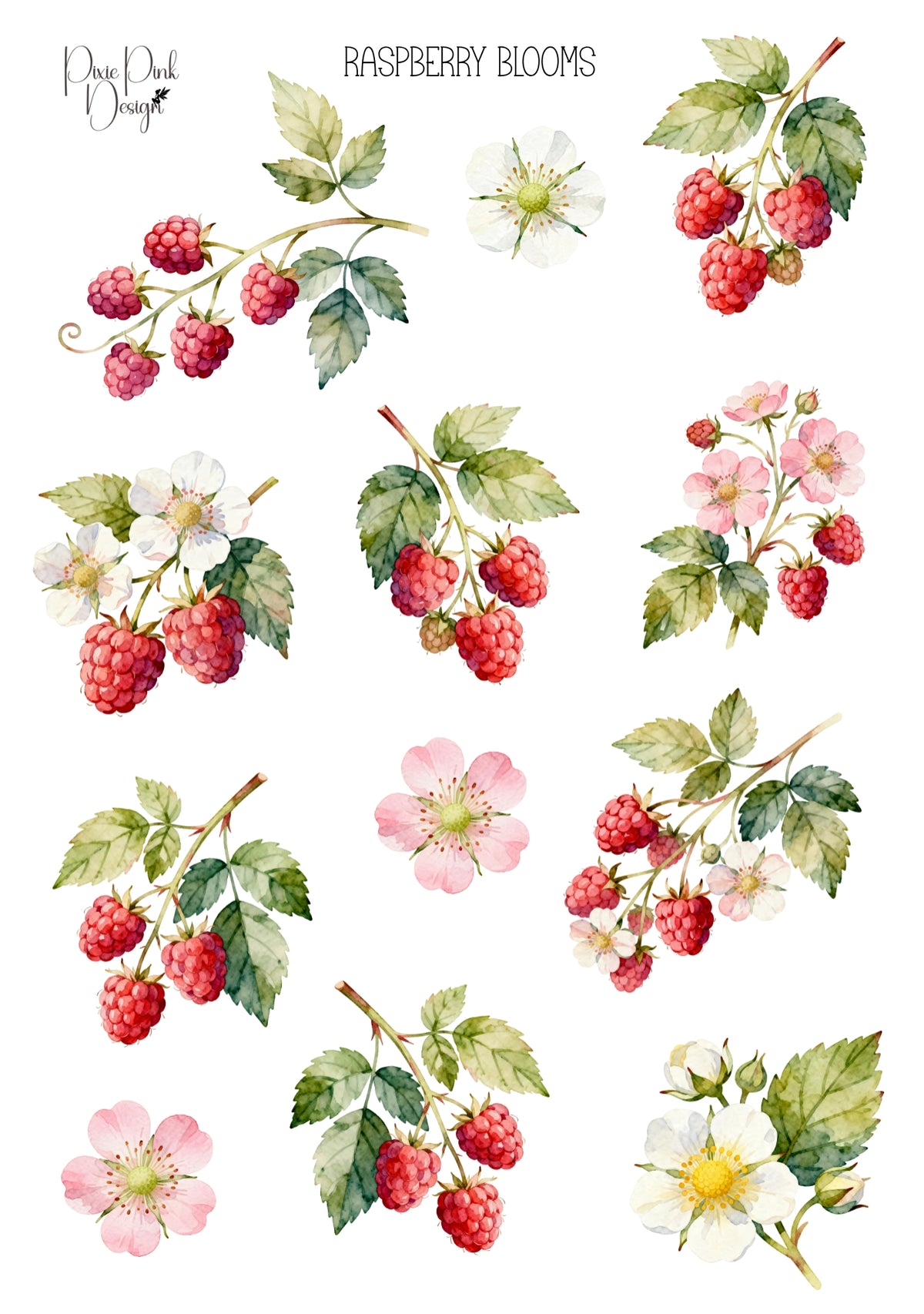 *PRINTABLE* Raspberry Blooms Sticker Sheet