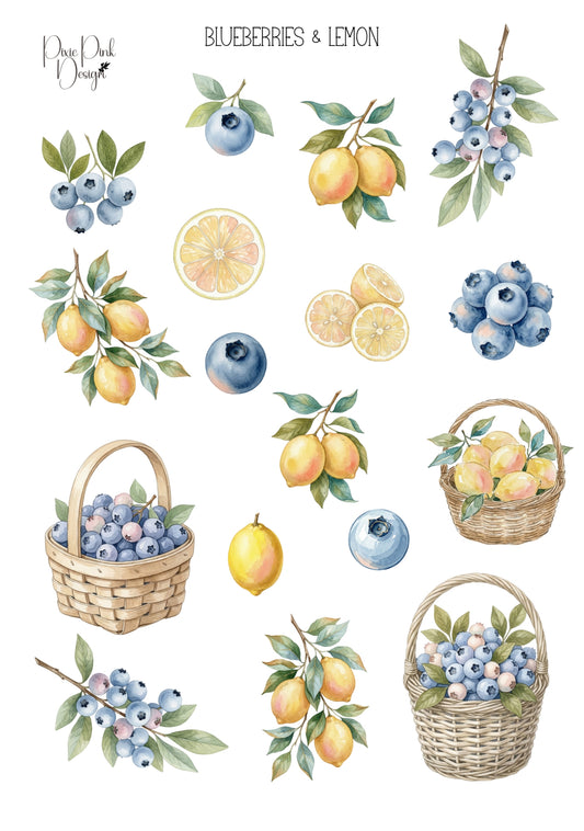 *TANGIBLE* Blueberries & Lemon Sticker Sheet
