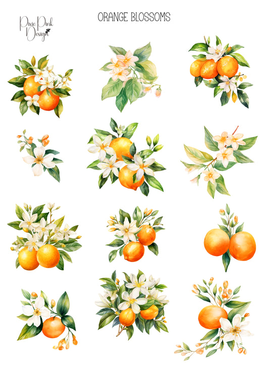 *TANGIBLE* Orange Blossoms Sticker Sheet